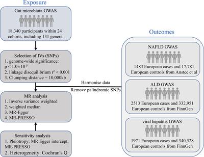 Investigating causal associations among gut microbiota, metabolites, and liver diseases: a Mendelian randomization study